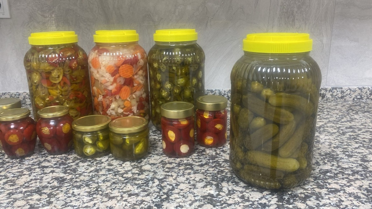 Assortment of preserved vegetables for product and packaging review
